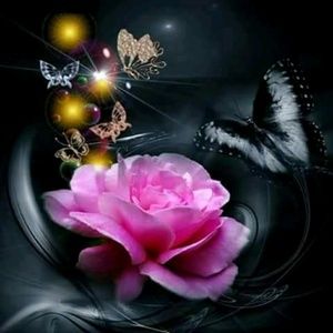 Meet your Posher, Tonya